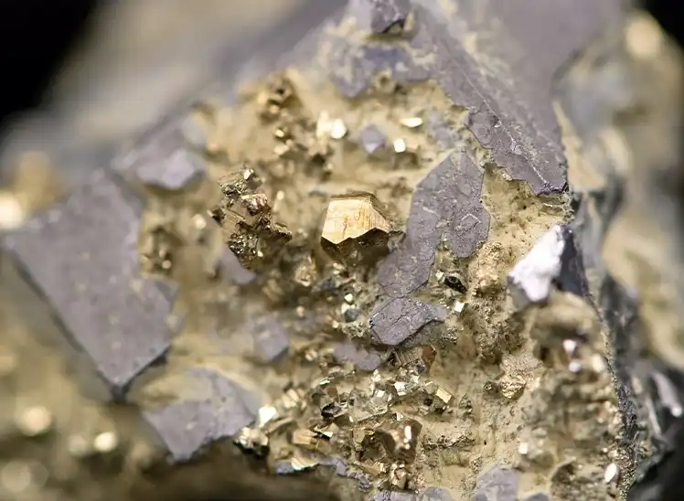 Gold alloy ore