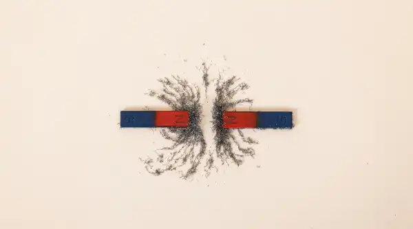 Magnets, precious metals are not magnetic